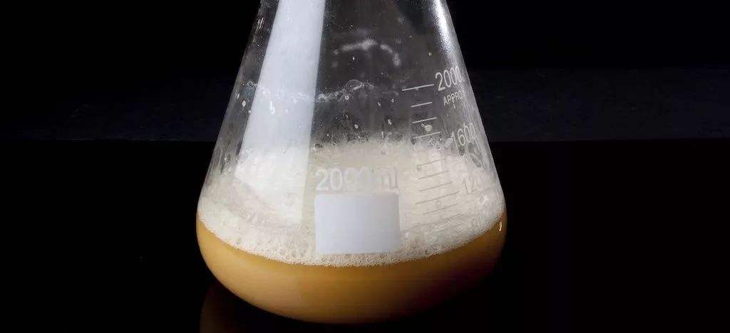 酵母發(fā)酵起泡是怎么回事，怎么處理這些泡沫？